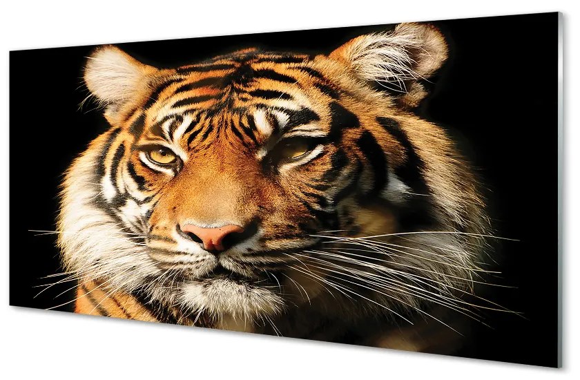 Obraz na akrylátovom skle Tiger 120x60 cm