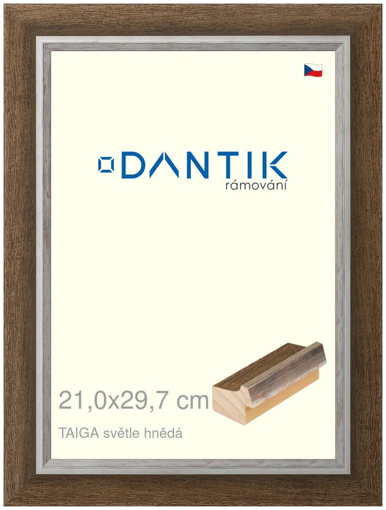 DANTIK rám na obraz 21x29,7 | TAIGA sv.hnědá (Sklo Čiré)