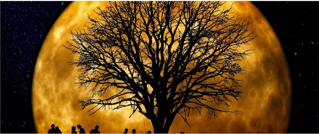Obraz mesiace a siluet (120x50 cm)