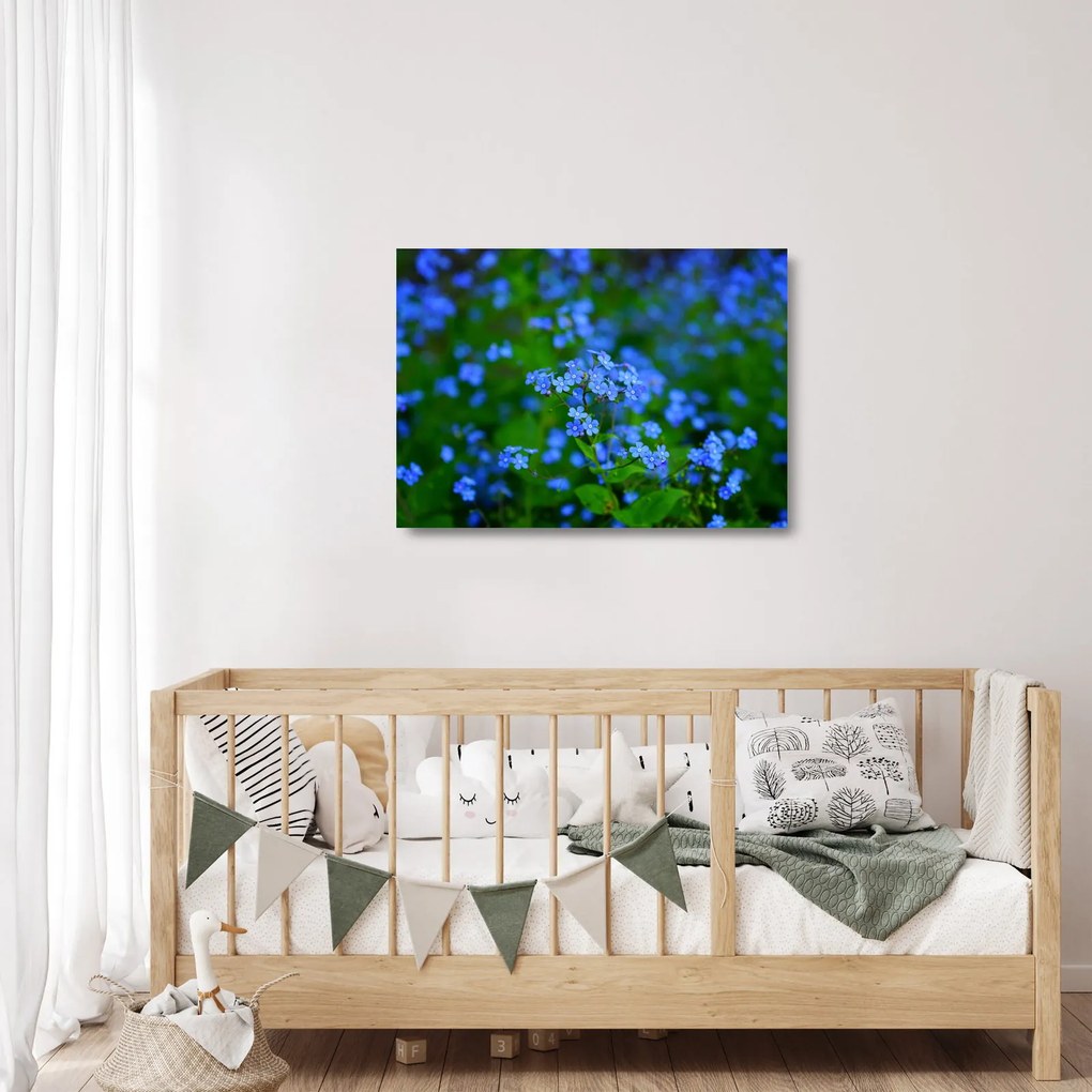 Sklenený obraz modrých kvetín (70x50 cm)