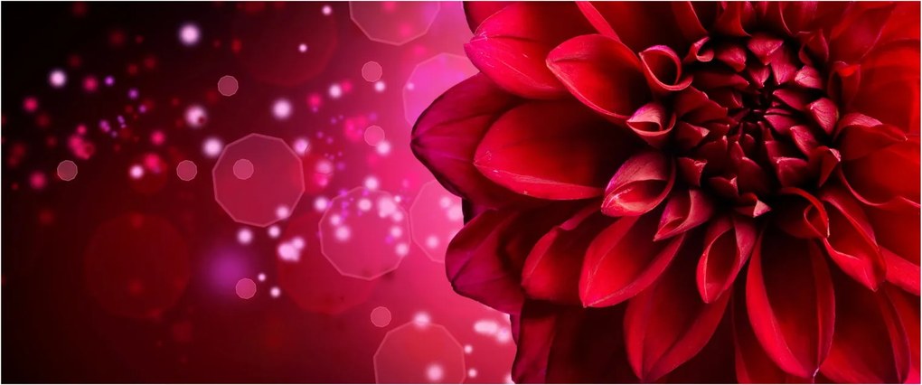 Obraz červené kvety (120x50 cm)