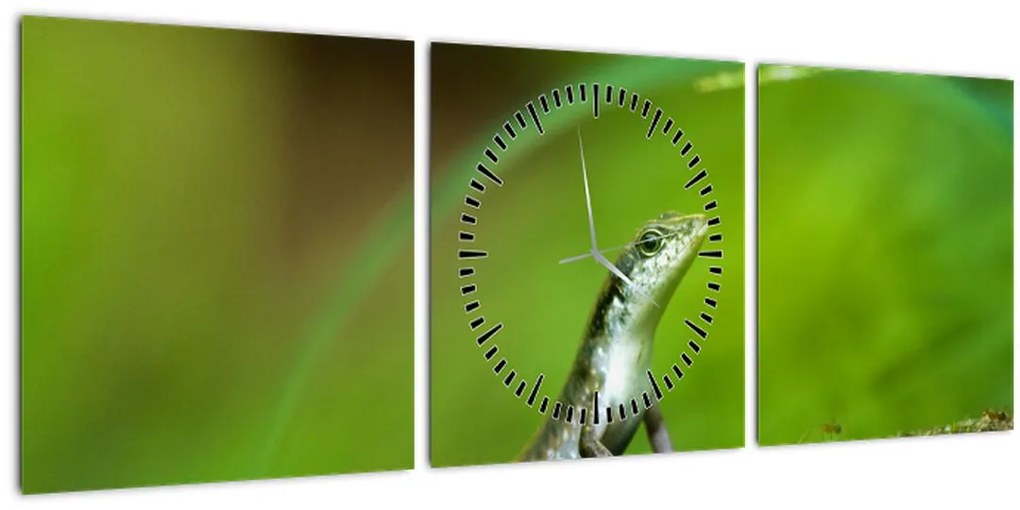 Obraz jašteričky (s hodinami) (90x30 cm)