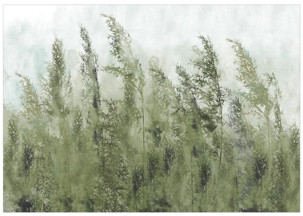 Artgeist Fototapeta - Tall Grasses - Green Veľkosť: 100x70, Verzia: Premium