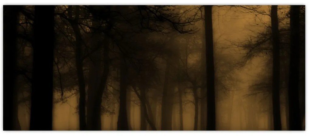 Obraz - Temný les (120x50 cm)