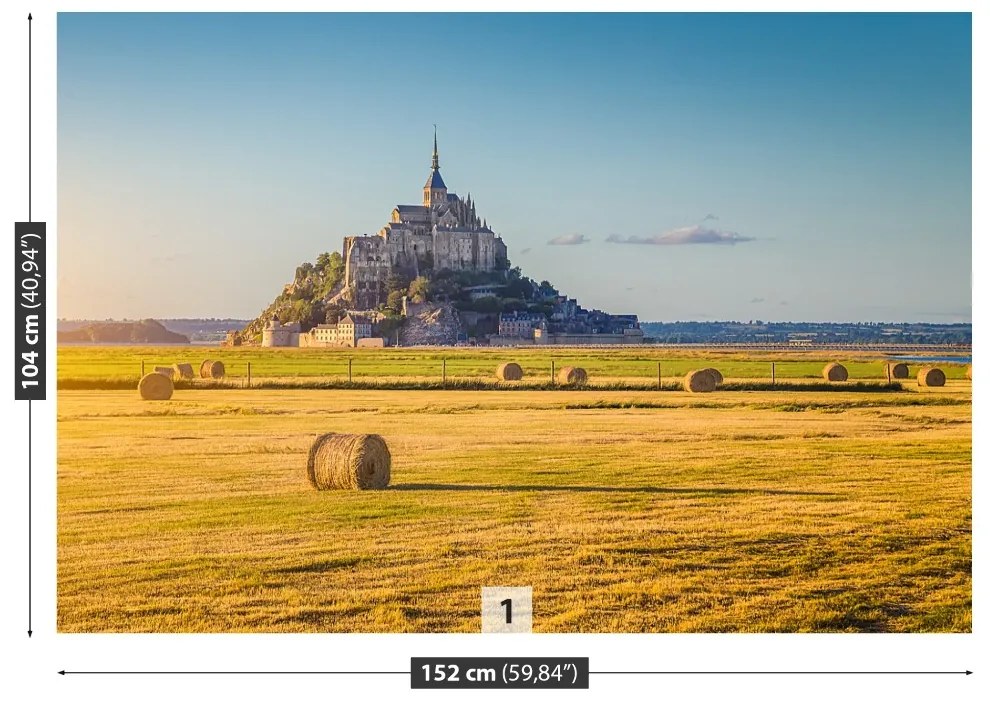 Fototapeta Vliesová Le mont saintmichel 416x254 cm