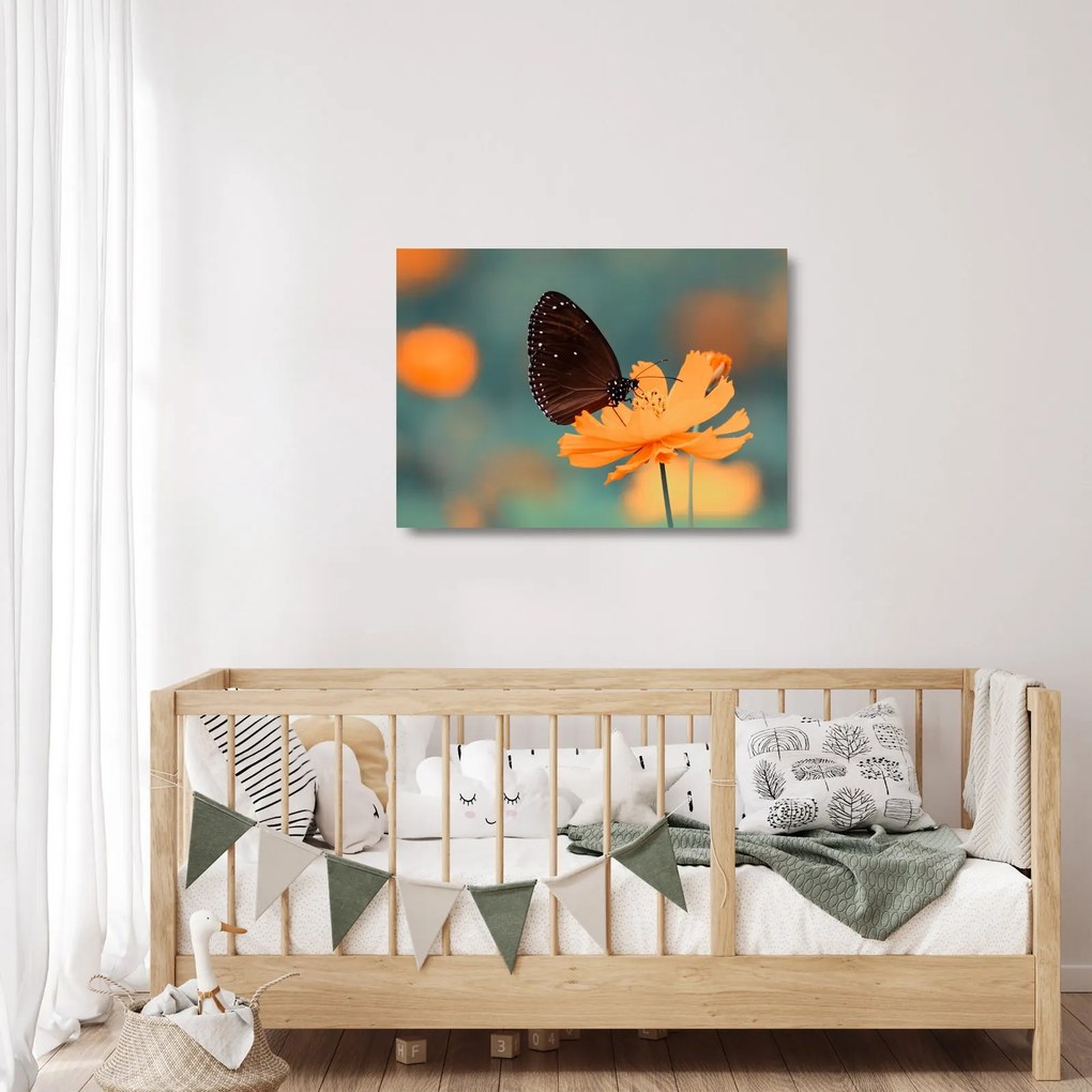 Sklenený obraz - motýľ na oranžovom kvete (70x50 cm)