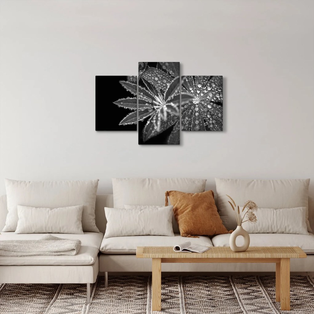 Obraz - Listy s kvapkami (90x60 cm)