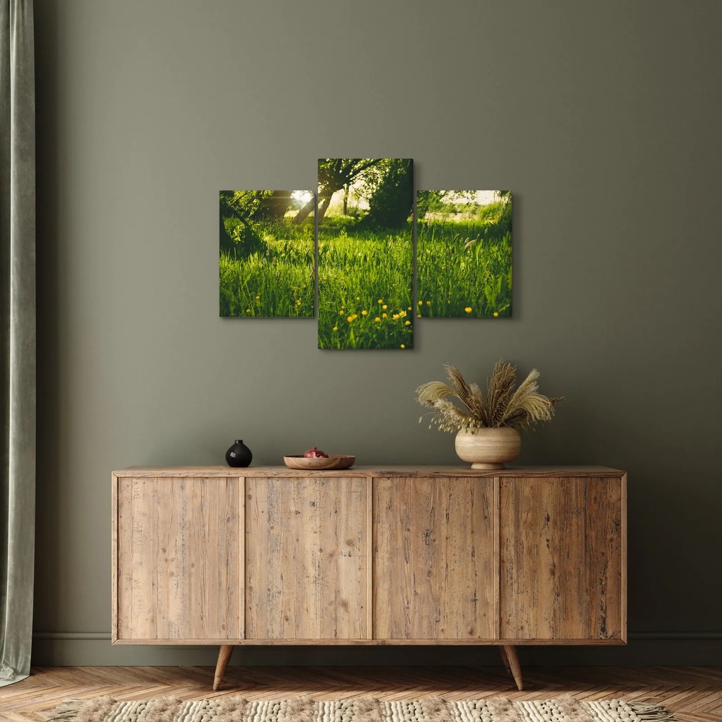 Obraz prírody - lúka (90x60 cm)