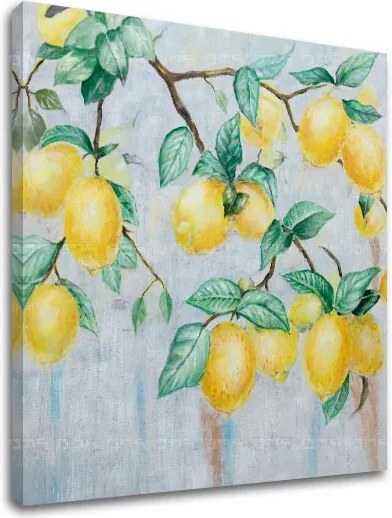 Obraz na plátne CITRÓNY 1 dielny XOBCH1840SDE1