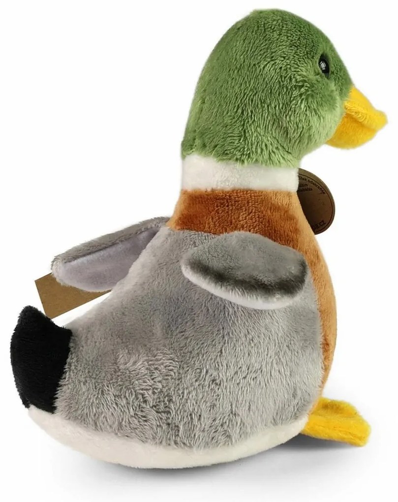 Rappa Plyšová kačica divá 21 cm ECO-FRIENDLY