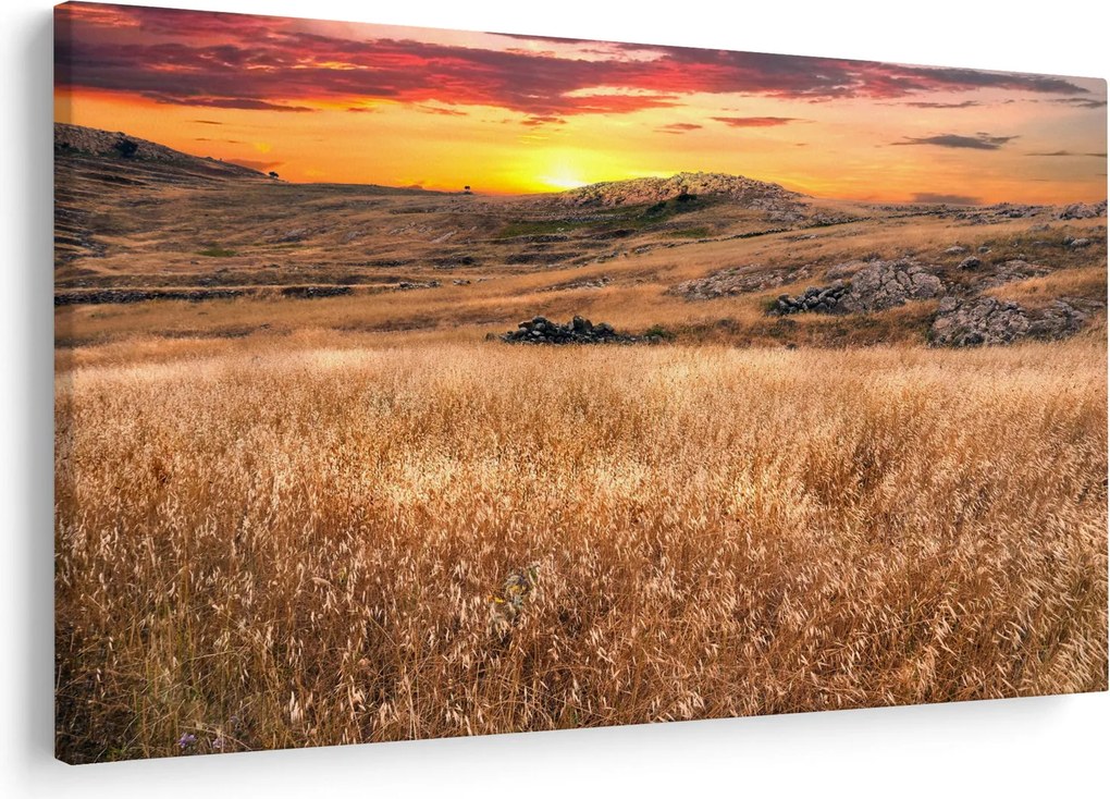 Obraz pole (90x60 cm)