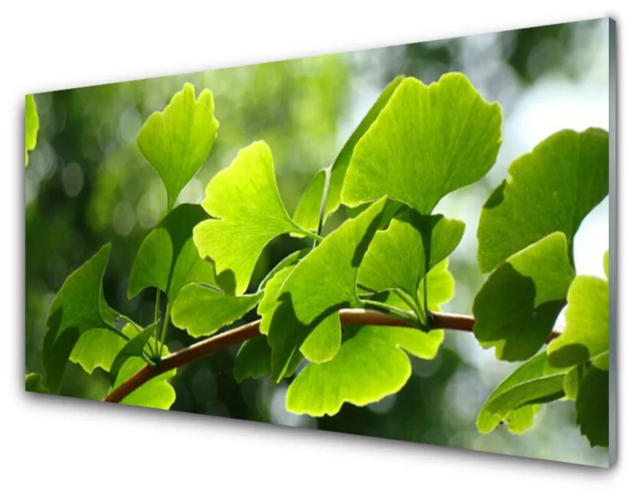 Skleneny obraz Vetvy listy príroda strom 140x70cm