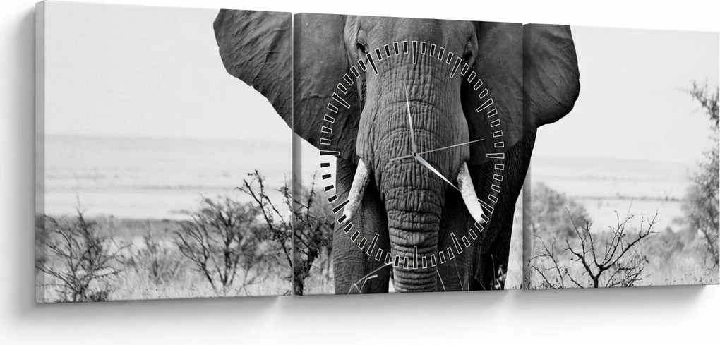 Obraz - Slon africký II. (s hodinami) (90x30 cm)