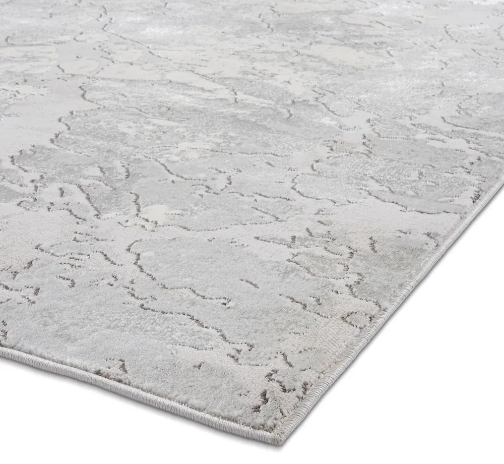 Sivý/béžový koberec 220x160 cm Apollo - Think Rugs