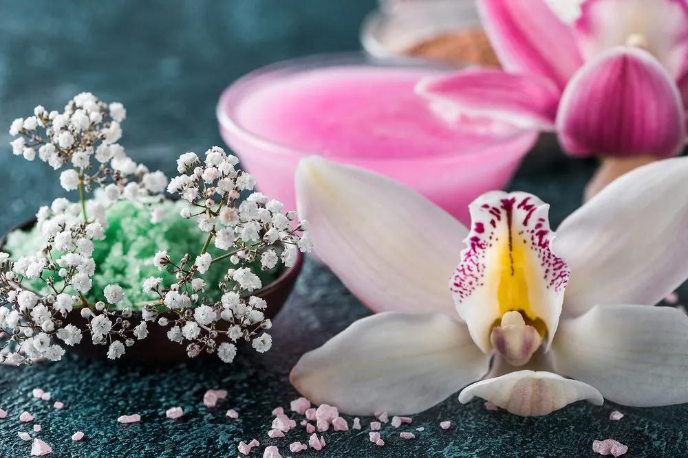Obraz nádherná detailná orchidea Varianta: 120x80