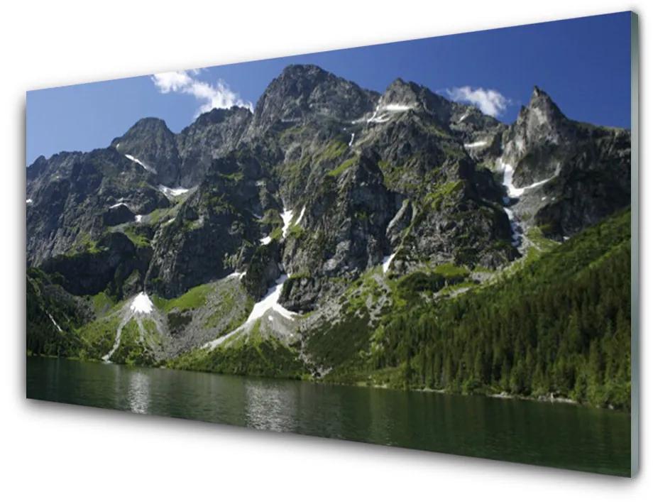 Obraz plexi Hory jazero les príroda 120x60 cm
