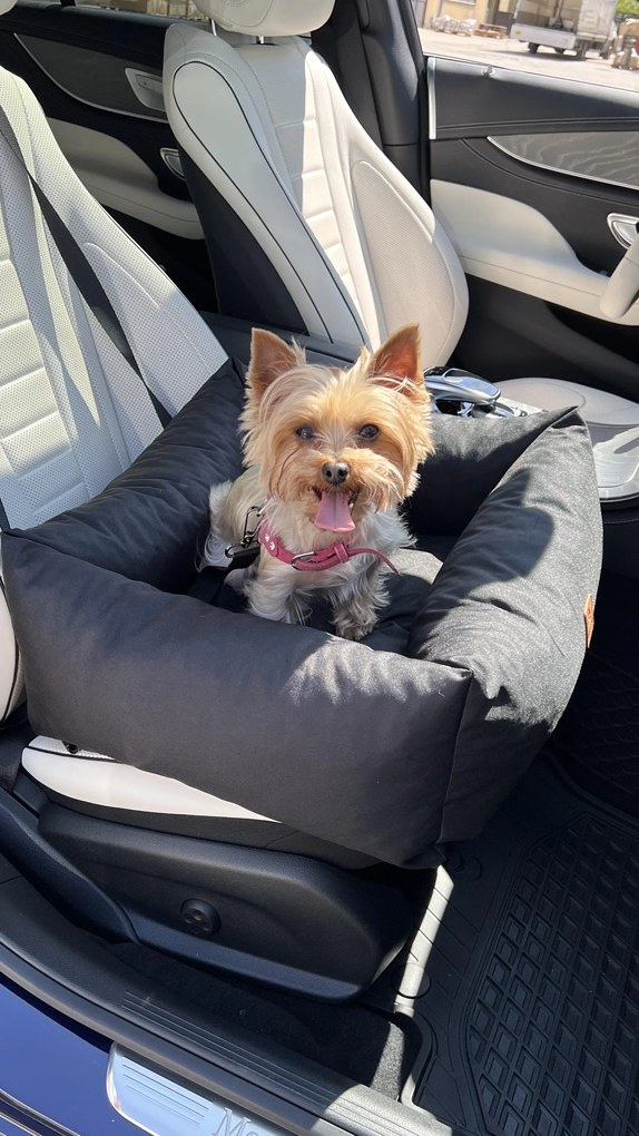 Cestovný psí pelech do auta JULIAN čierny