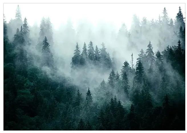 Samolepiaca fototapeta - Mountain Forest (Dark Green) Veľkosť: 245x175, Verzia: Samolepiaca