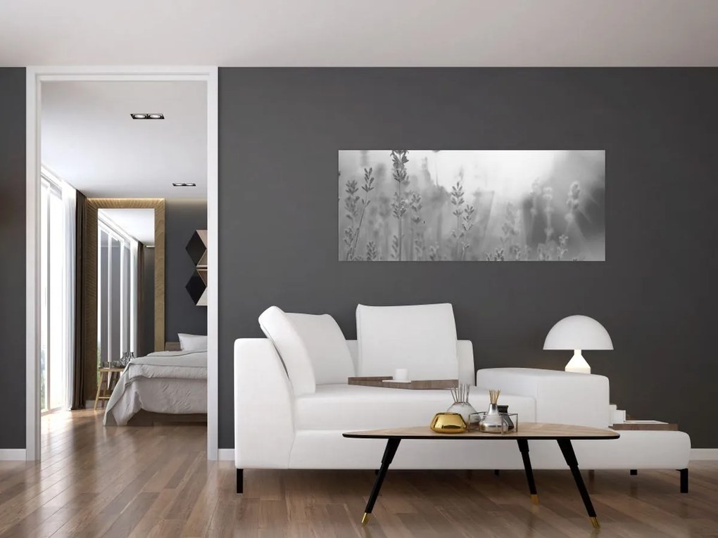 Obraz - Levanduľa (120x50 cm)
