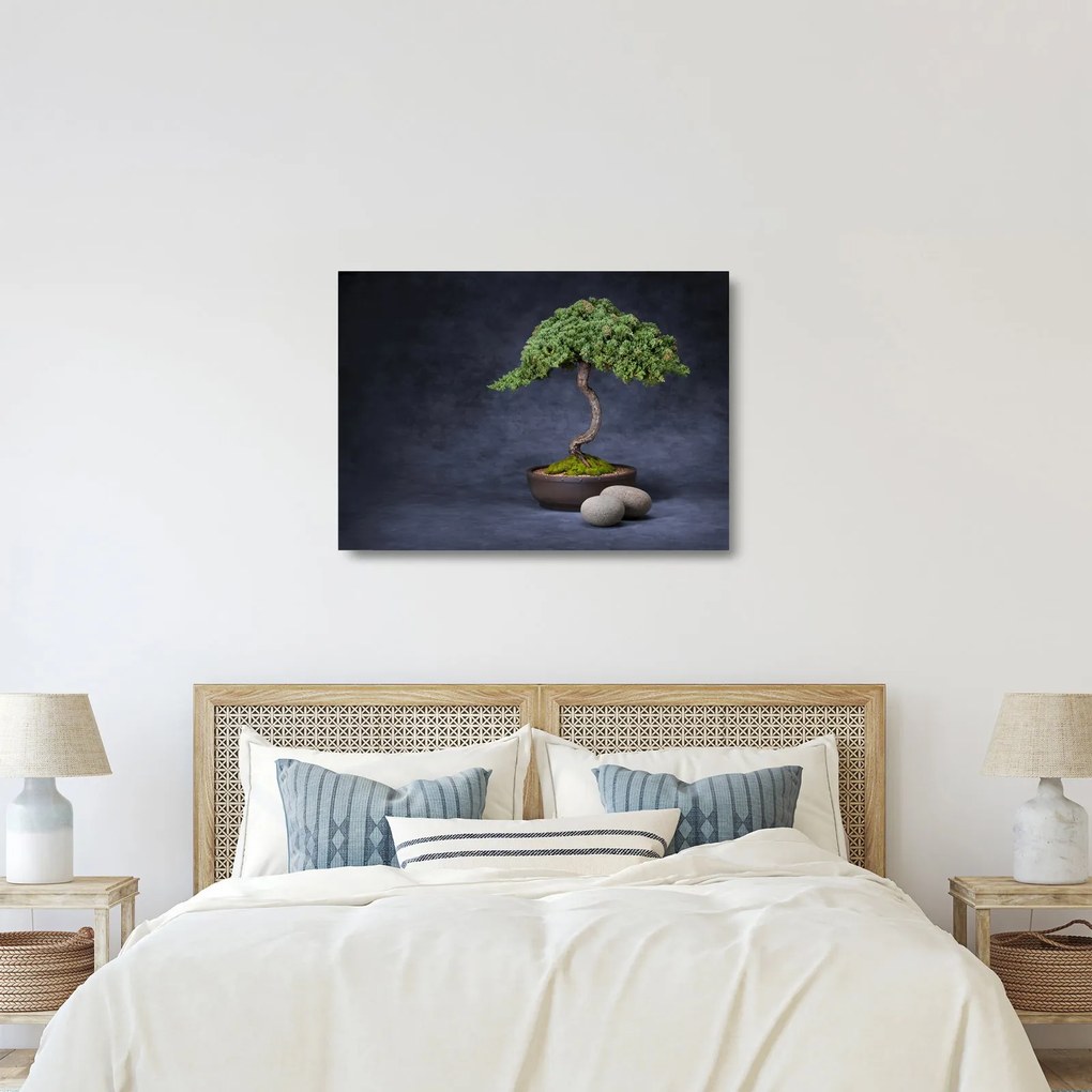 Sklenený obraz - Bonsai (70x50 cm)