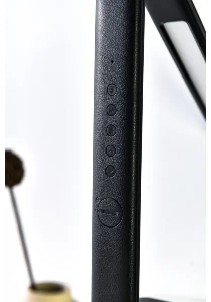 Immax 08930L - LED Stmievateľná stolná lampa KINGFISHER LED/9W/230V/12V