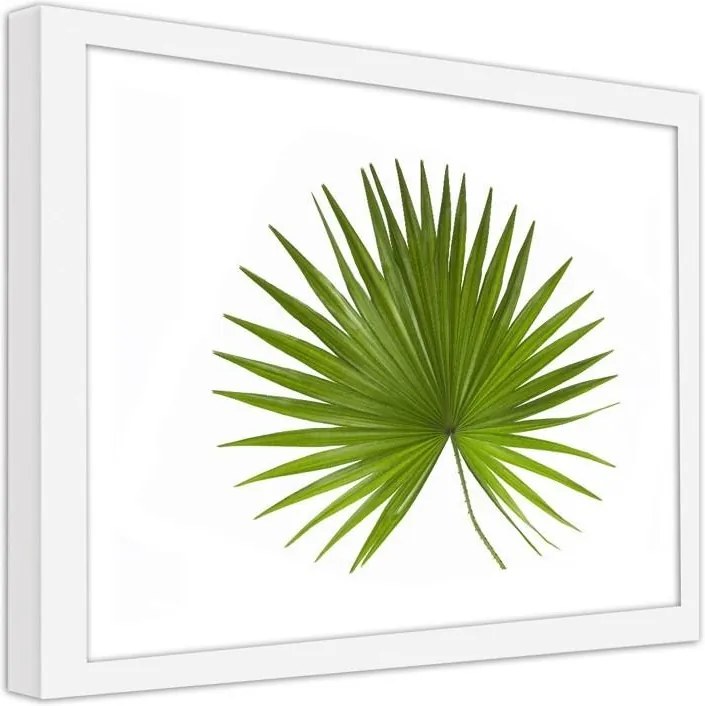 CARO Obraz v ráme - Palm Leaf Biela 40x30 cm