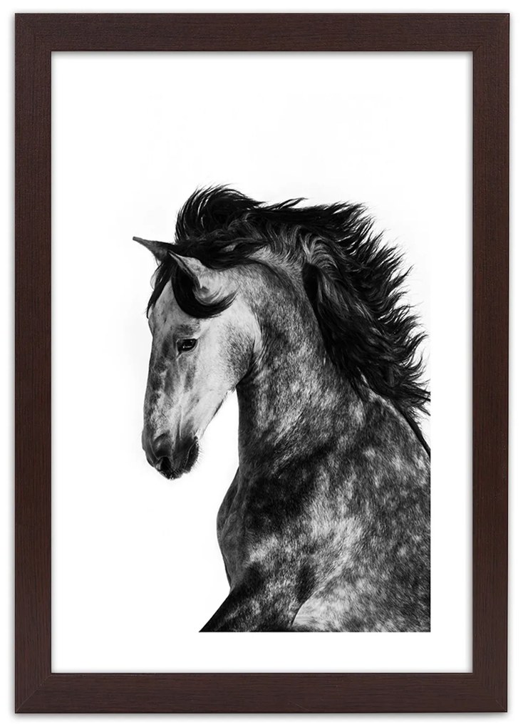 Gario Plagát Divoký orol Farba rámu: Bez rámu, Rozmery: 40 x 60 cm