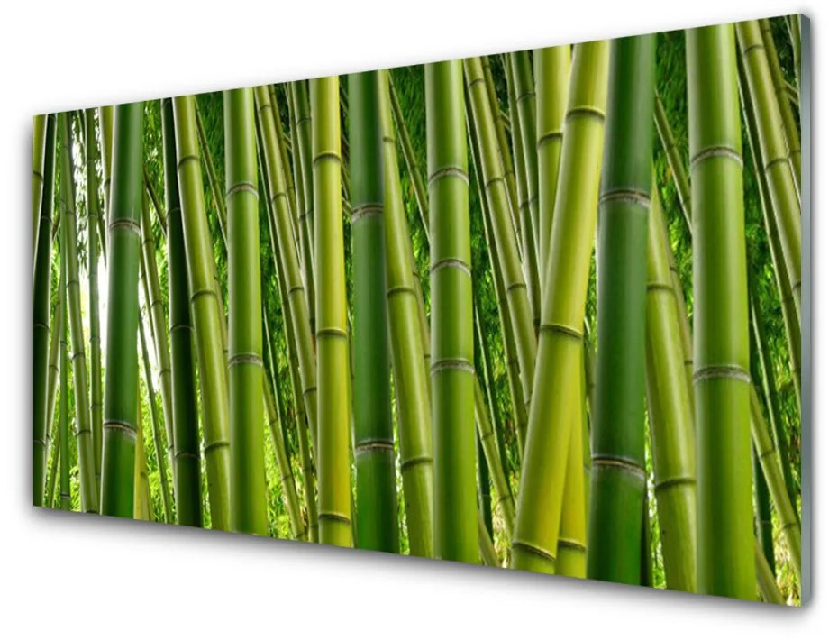 Skleneny obraz Bambusový les bambusové výhonky 140x70cm