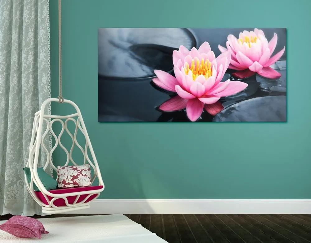 Obraz lotosový kvet v jazere - 120x60