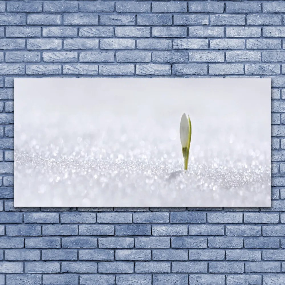 Obraz plexi Snežienka sneh zima 120x60 cm