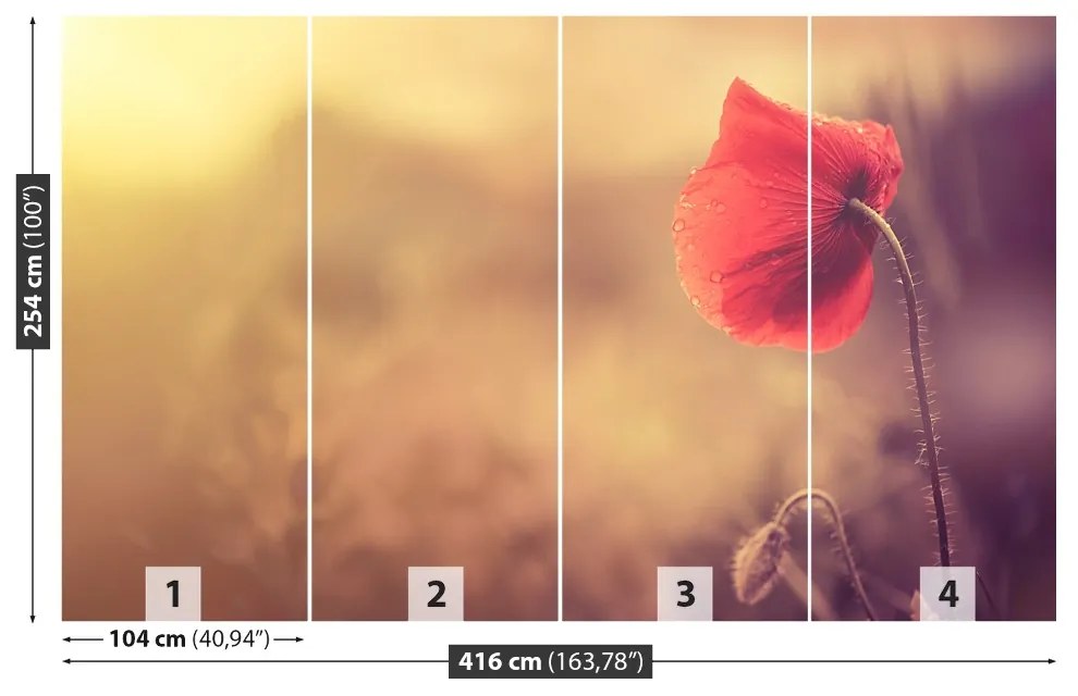 Fototapeta Vliesová Makový kvet 250x104 cm