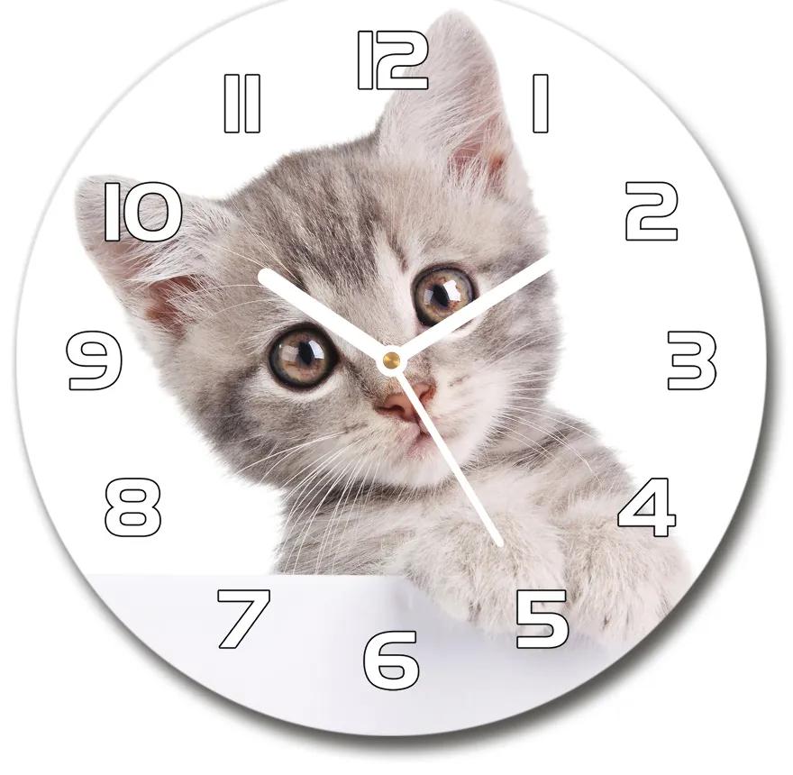 Sklenené hodiny okrúhle Sivá mačka pl_zso_30_f_80791907