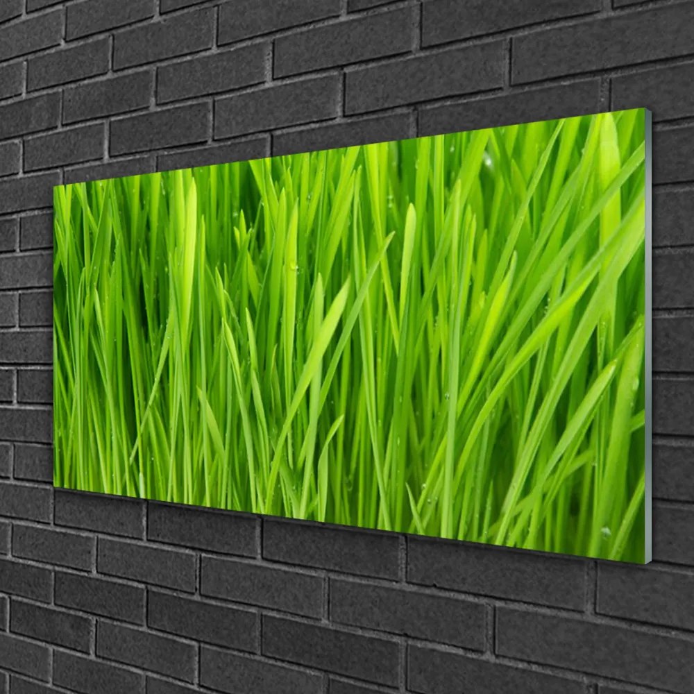 Obraz na skle Tráva rastlina príroda 120x60 cm
