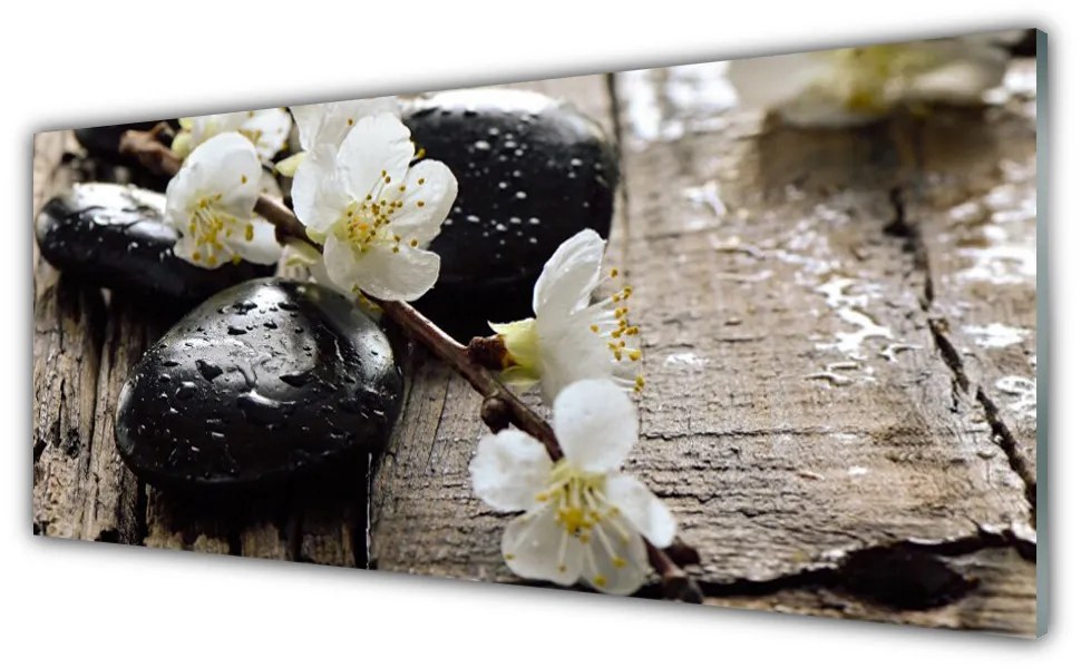 Obraz plexi Kvety kamene zen 125x50 cm