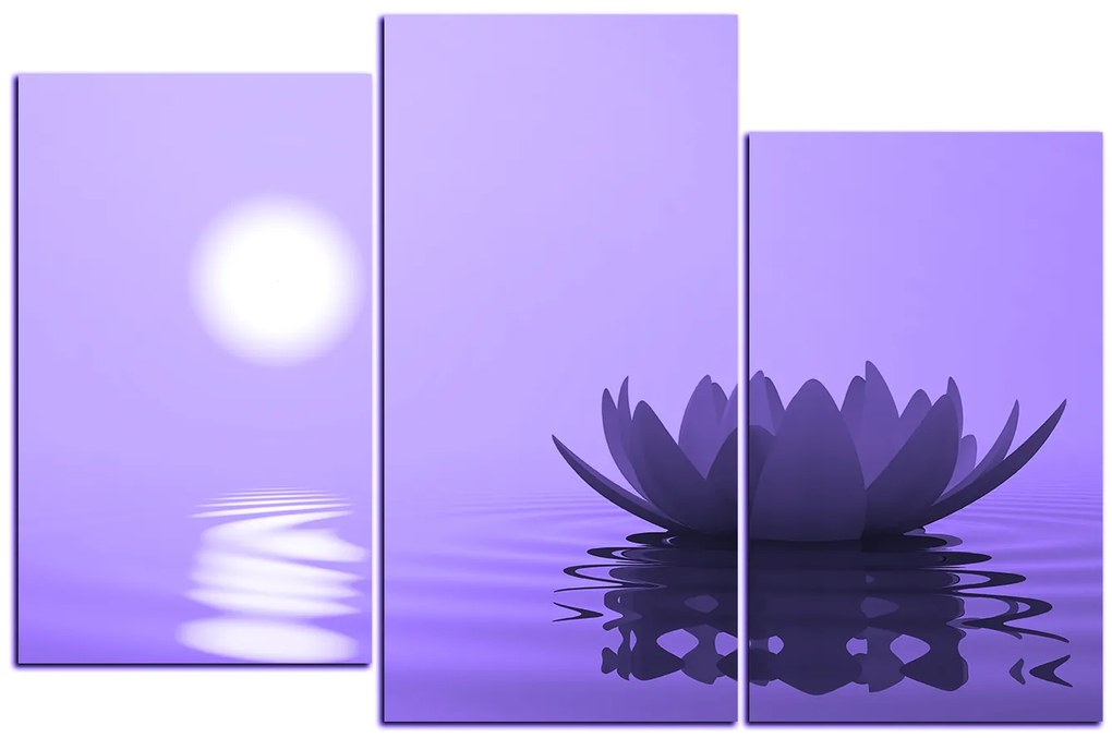 Obraz na plátne - Zen lotus 1167VC (105x70 cm)