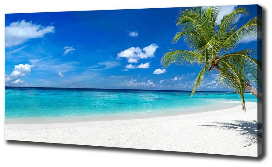 Foto obraz na plátne Tropická pláž pl-oc-140x70-f-158283371
