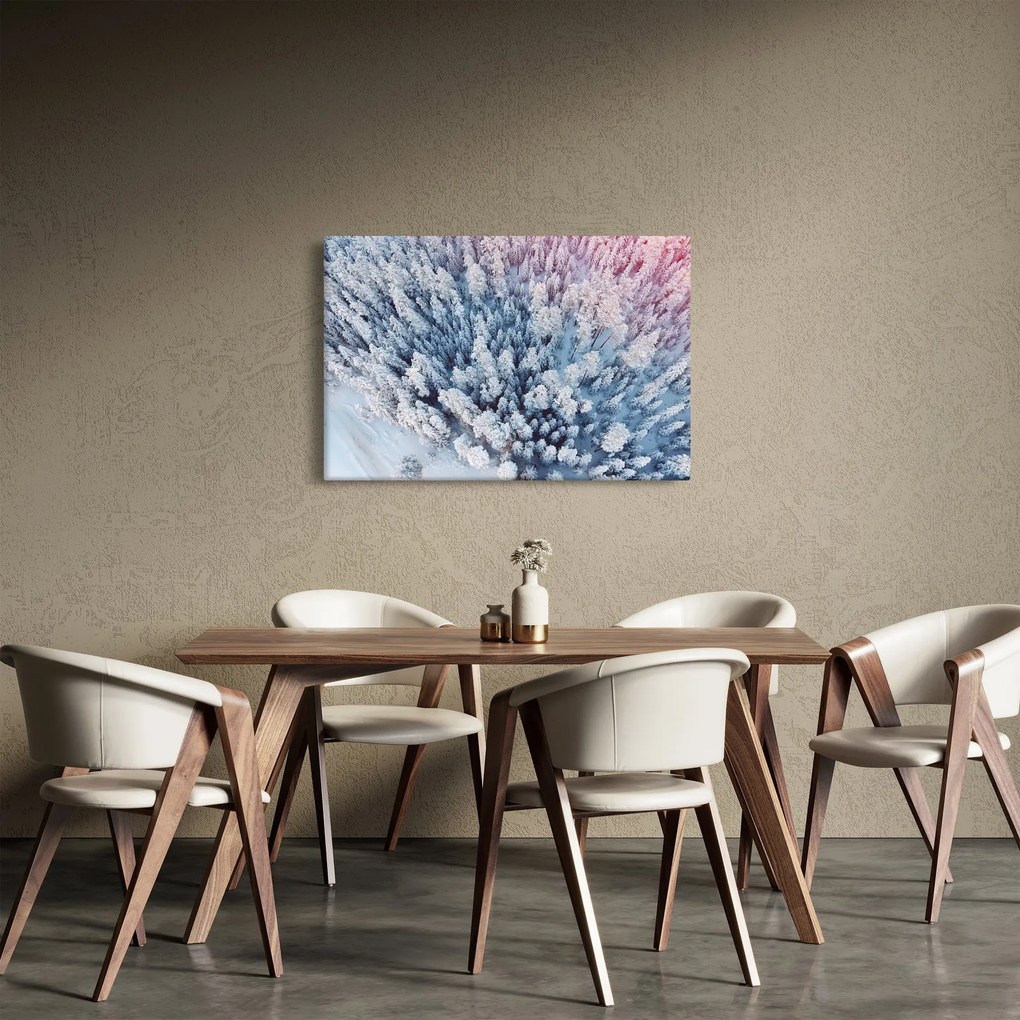Obraz zasnežených stromov (90x60 cm)