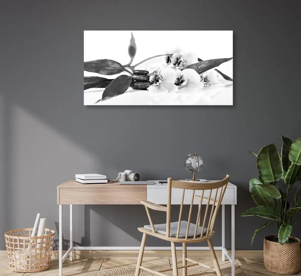 Obraz ukľudňujúce Zen zátišie s kvetmi orchidei v čiernobielom prevedení