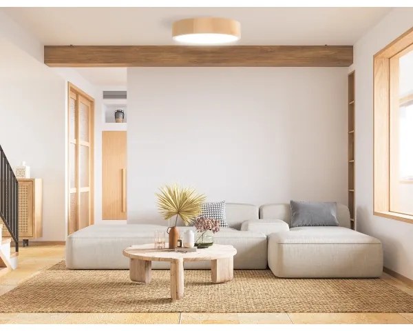 Kúpeľňové stropné svietidlo CLEO 3xE27/24W/230V IP54 pr. 37,5 cm borovica