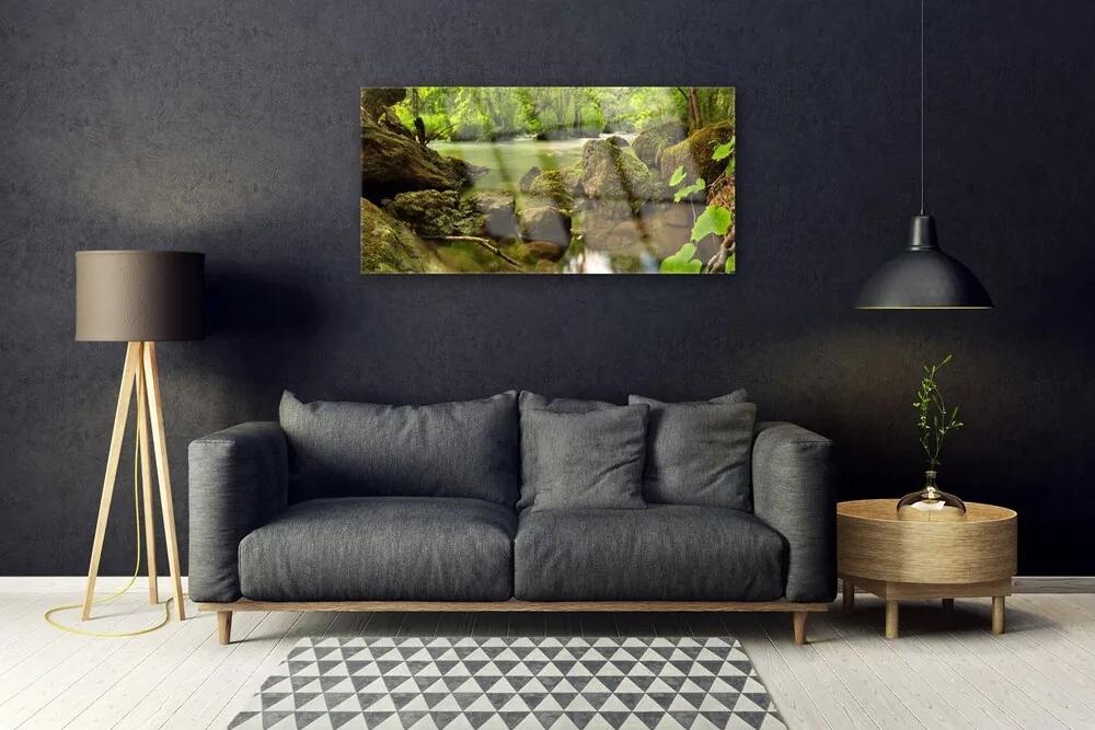 Obraz na skle Skala jazero príroda 125x50 cm