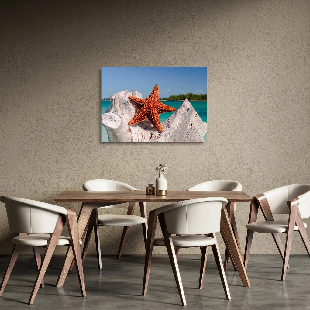 Sklenený obraz morskej hviezdice (70x50 cm)