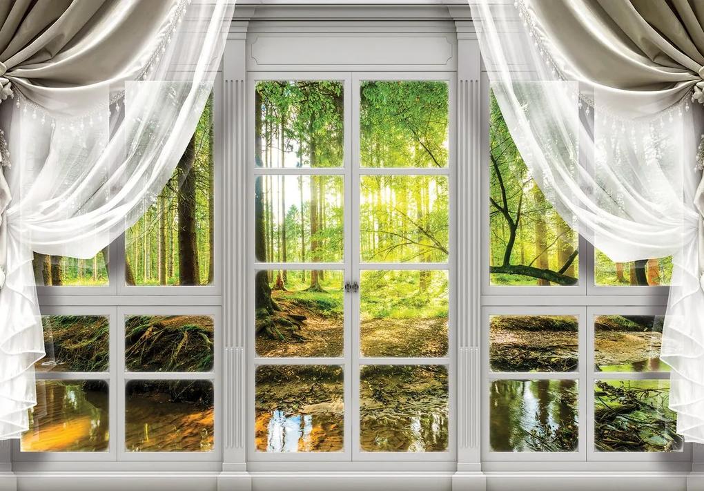 Fototapeta - Pohľad na lesné okno (254x184 cm)