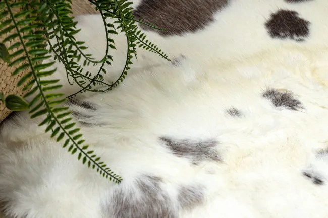 Koberec RENIFER POK007 krémový / sivý