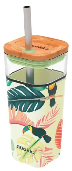 Sklenený cestovný hrnček so slamkou Liquid Cube Tropical Toucans 540 ml
