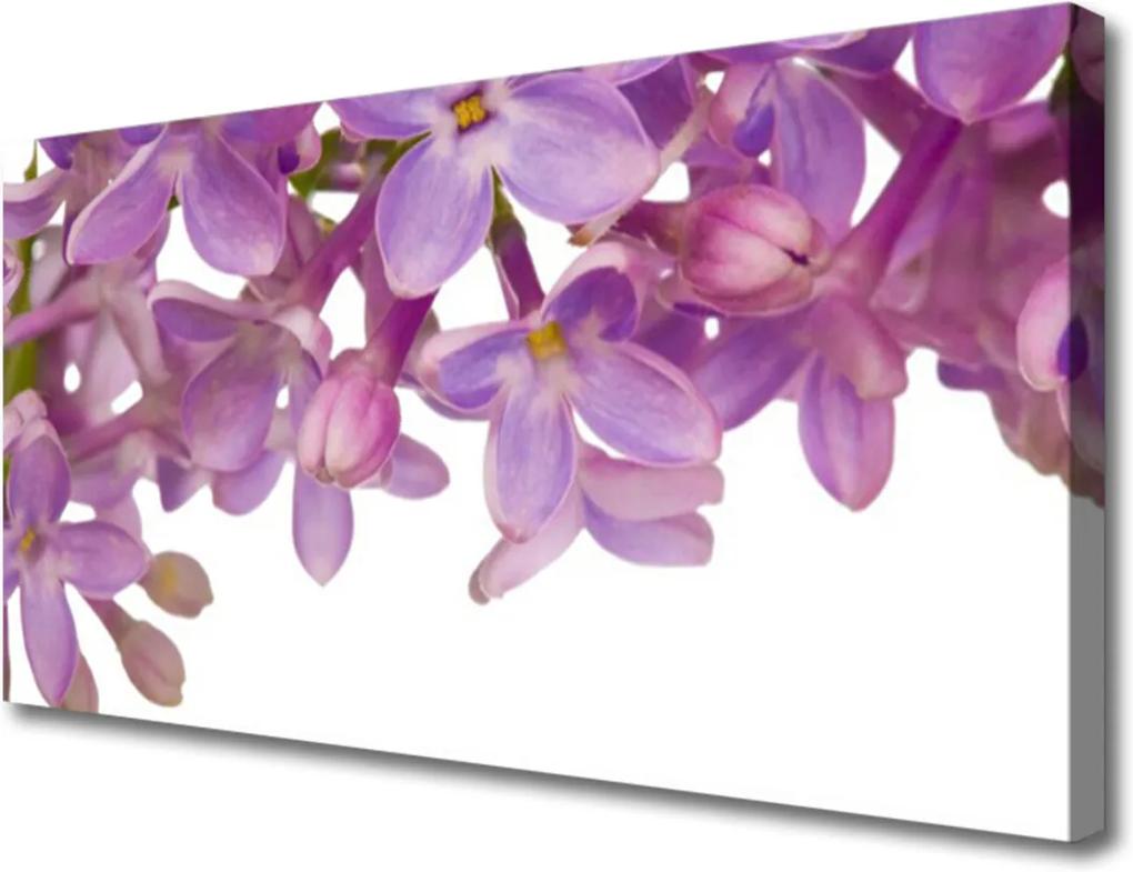 Obraz na plátně Sklenený Kvety Rastlina