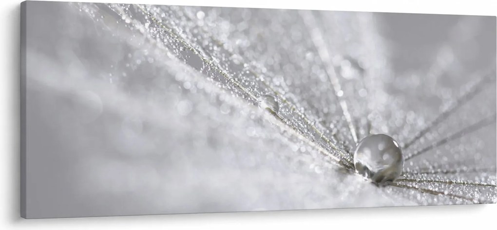 Obraz - Kvapka vody (120x50 cm)