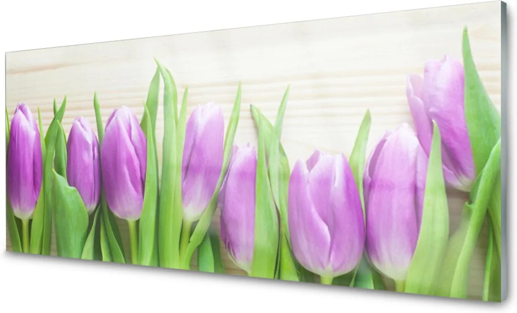 Plexisklo obraz Tulipány květiny příroda