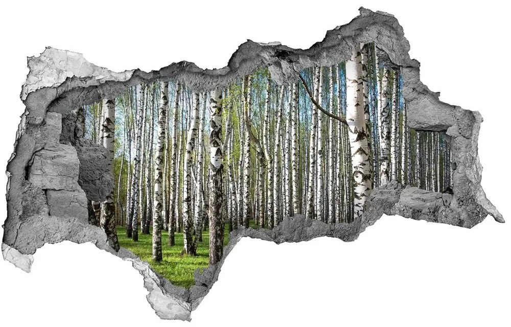 Nálepka fototapeta 3D výhľad Brezového lesa nd-b-64516023