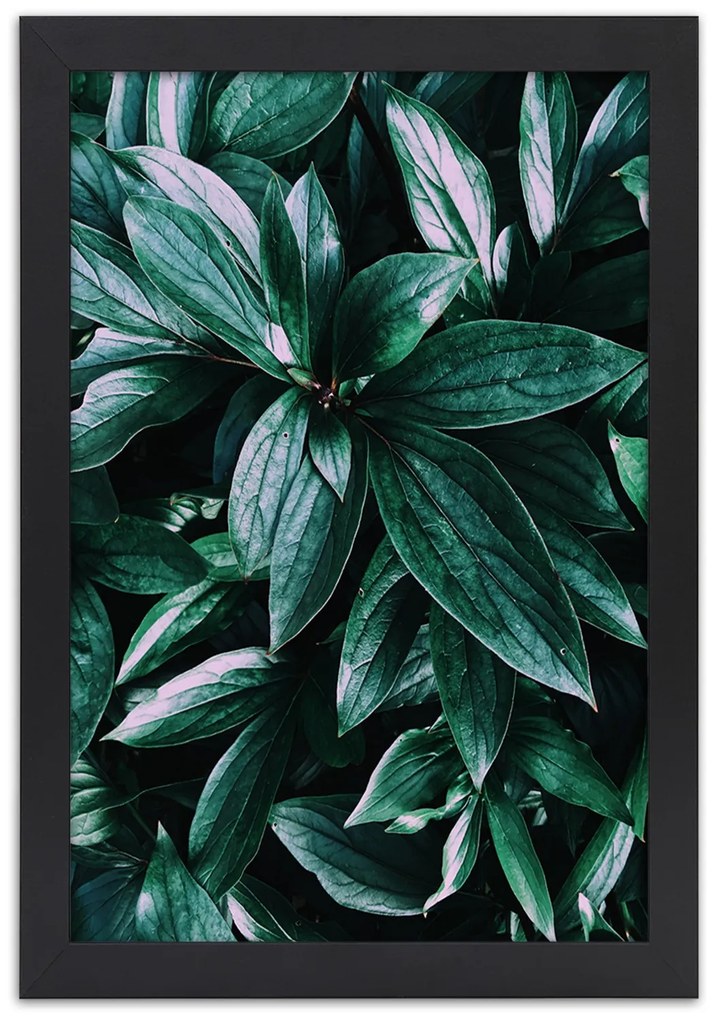 Gario Plagát Fascinujúce listy Farba rámu: Bez rámu, Rozmery: 30 x 45 cm