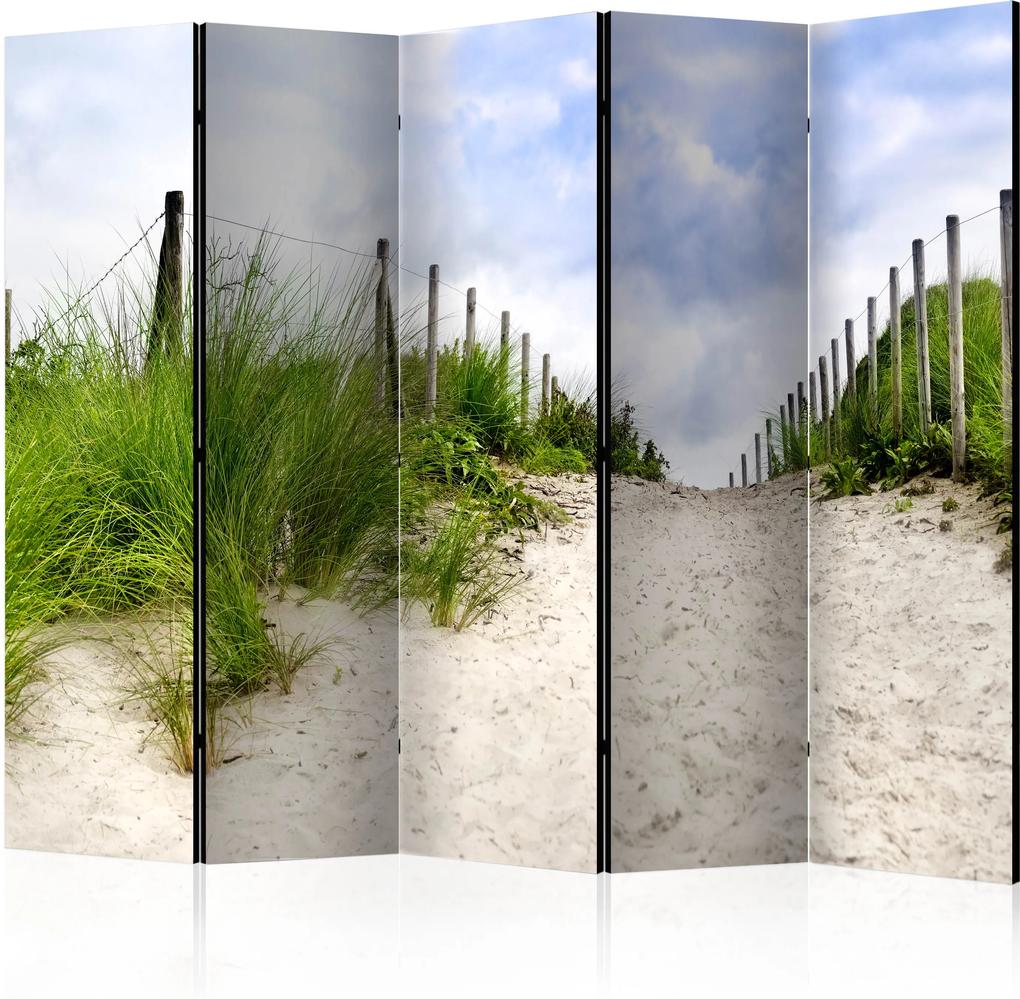 Paraván - Path to the Sea II [Room Dividers] 225x172